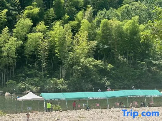 The northern mountain in Xianju has a plum tree named Su
