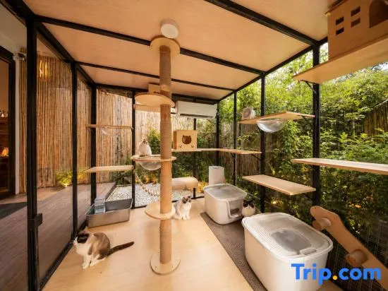 Shanyashan · Walnut Space Designer Aesthetic Homestay (Libo Xiaoqikong Dongmen Branch)