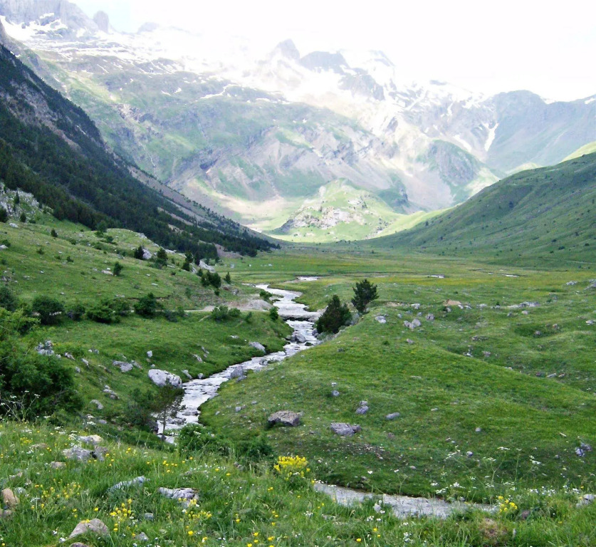 Edelweiss Hotel