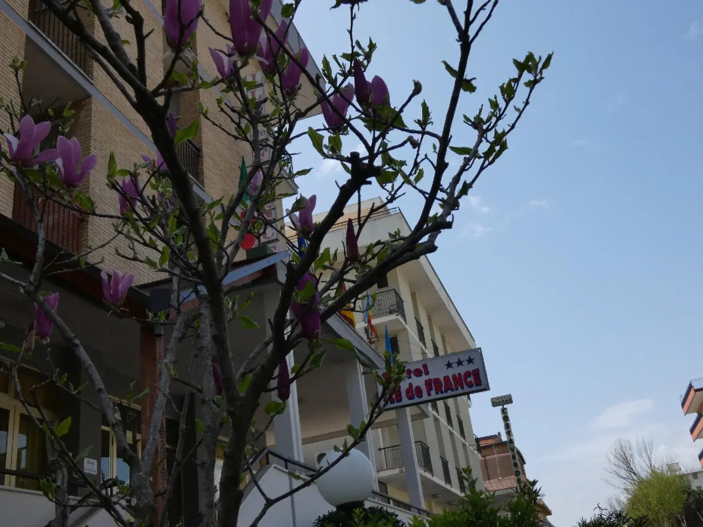 Hotel Ile de France Cesenatico