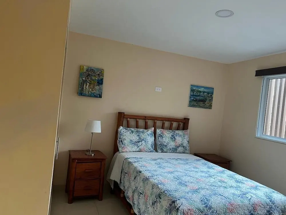 Apartamentos Roman