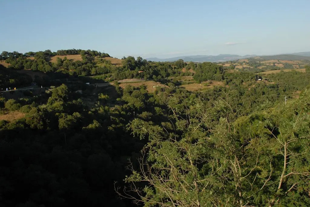 Morelliana4Rooms