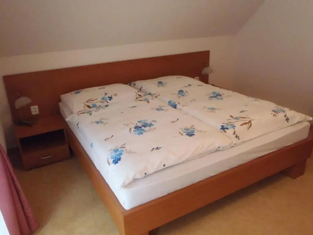 Hotel Bazant