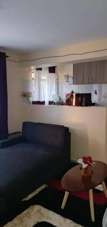 Lux Suites Lowe Furnished Apartments
