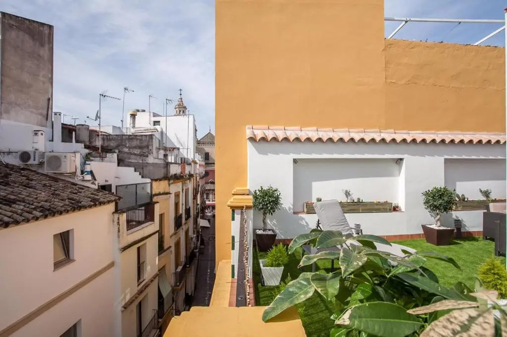 Ático Duplex Gran Terraza ↑ Calidades 2 Hab 2baños