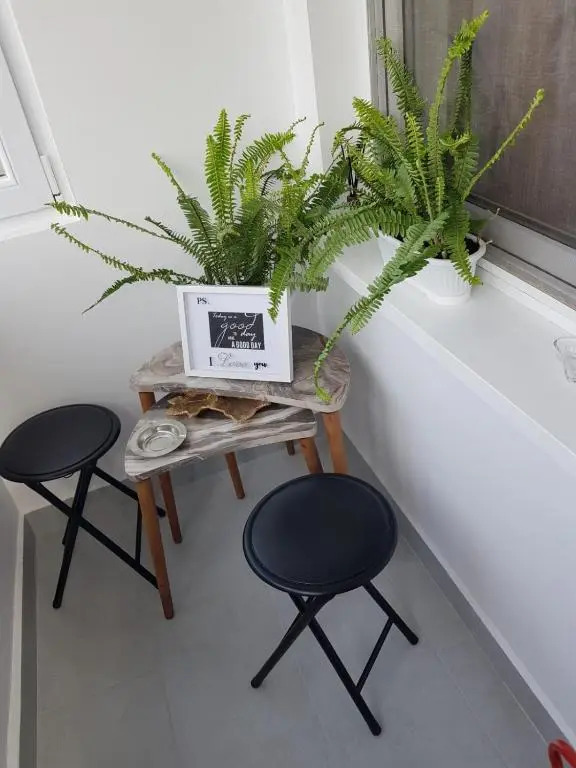 Ana Apartament
