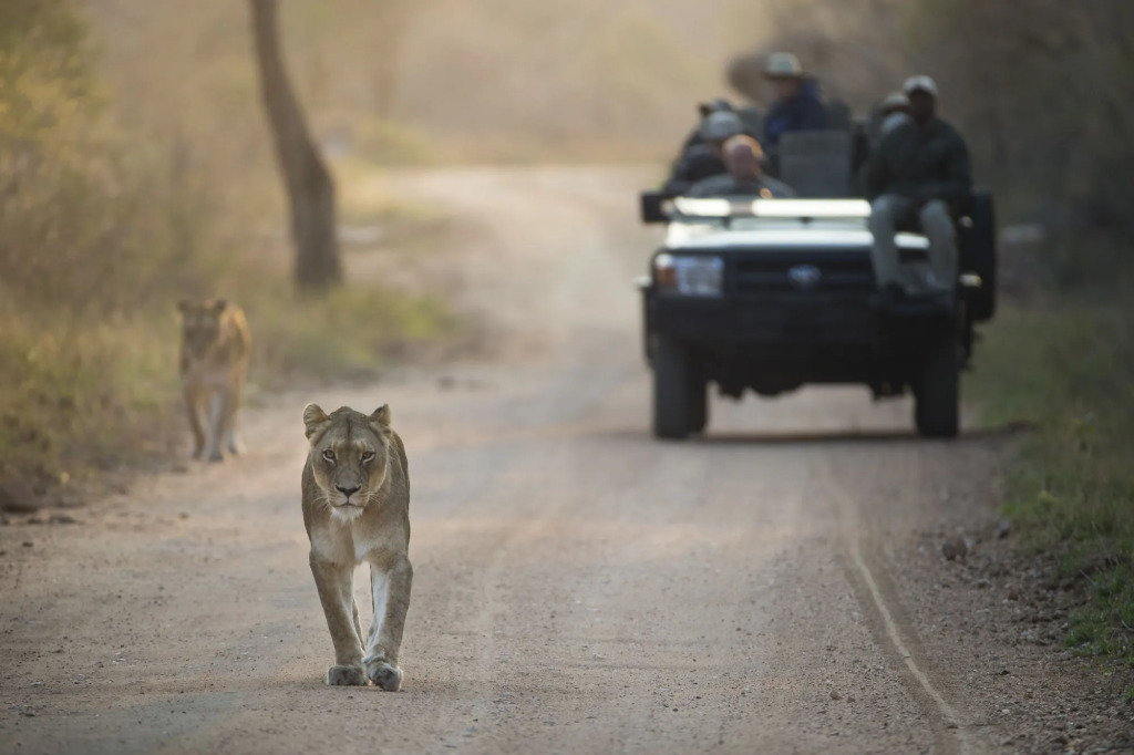 Kapama River Lodge