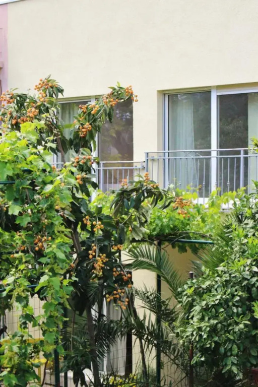 Rooms Marana