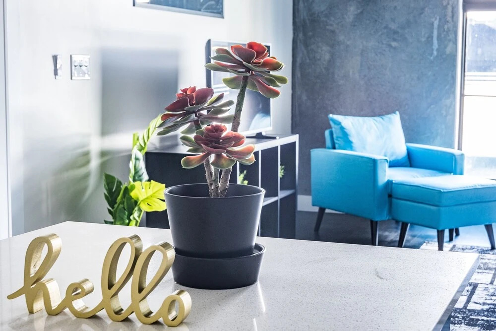 Centrally Located 1 BR and 2 BR Apts with Balcony by Frontdesk