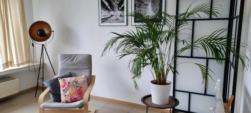Superb Appartement With 3 Bed Rooms In Antwerpen