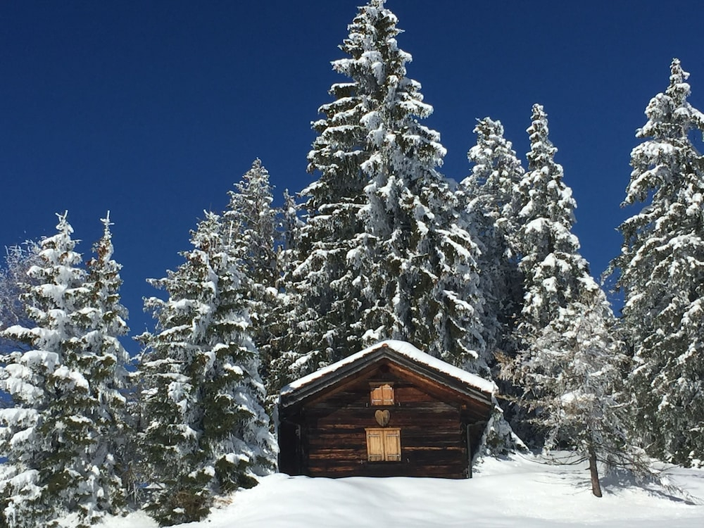 Hotel Surselva