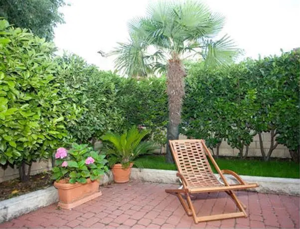 Apartments Marjan