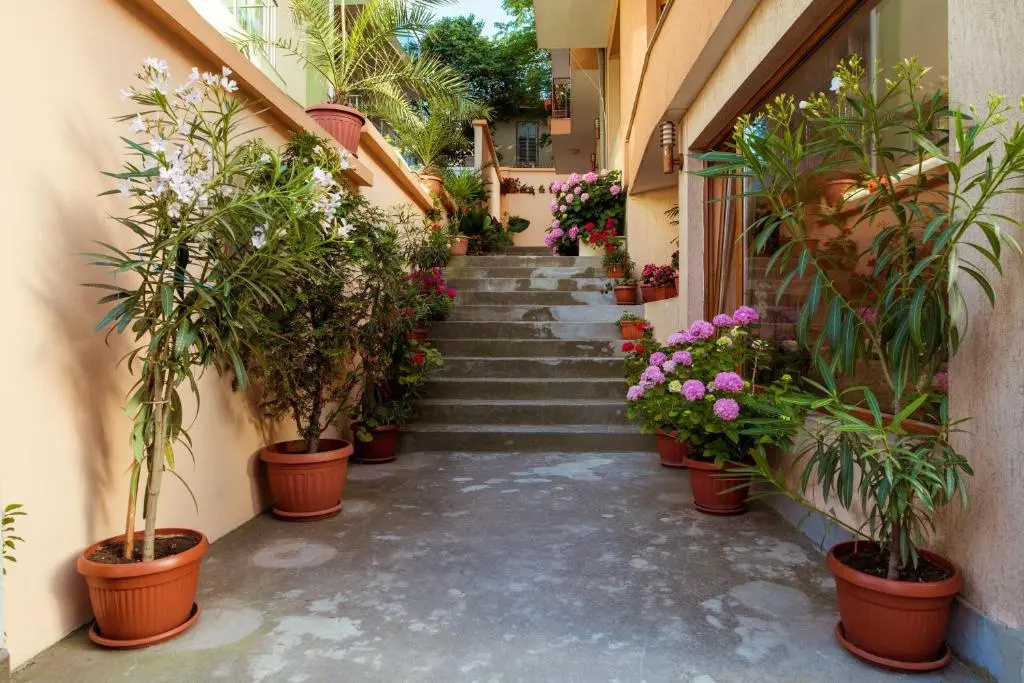 Hotel Orchidea