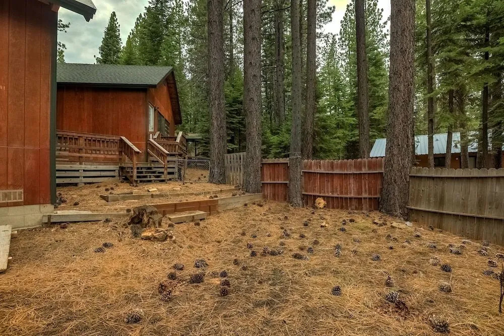 Woodland Escape - Cute Little Cabin in the Woods!