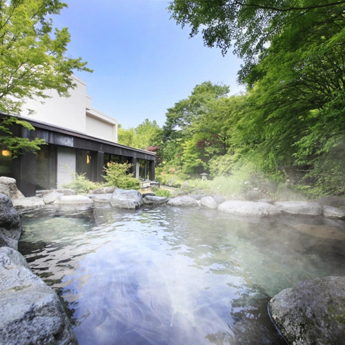 Kasuga-onsen Hot Spring Kasuga’s Forest Resort