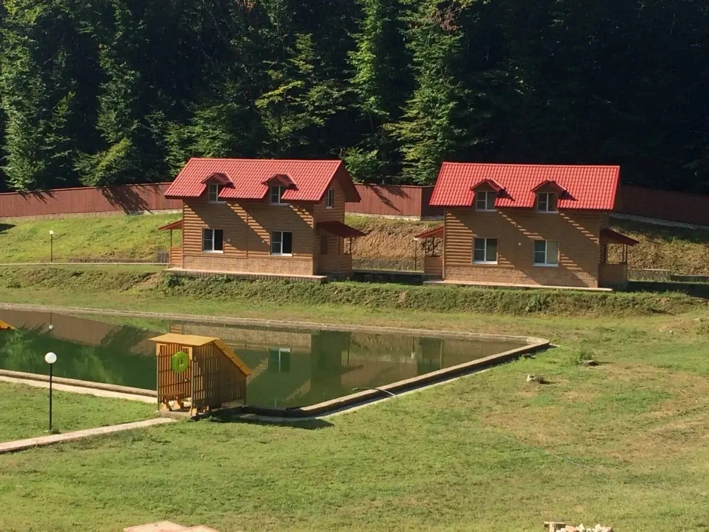 Eco-Chalet Honey Place