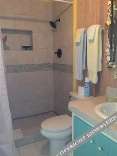 Beach Reach by Living Easy Abaco