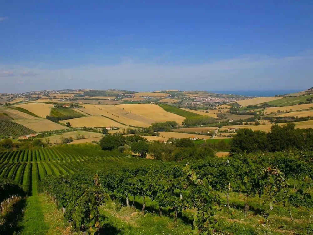Agriturismo Madonnabruna