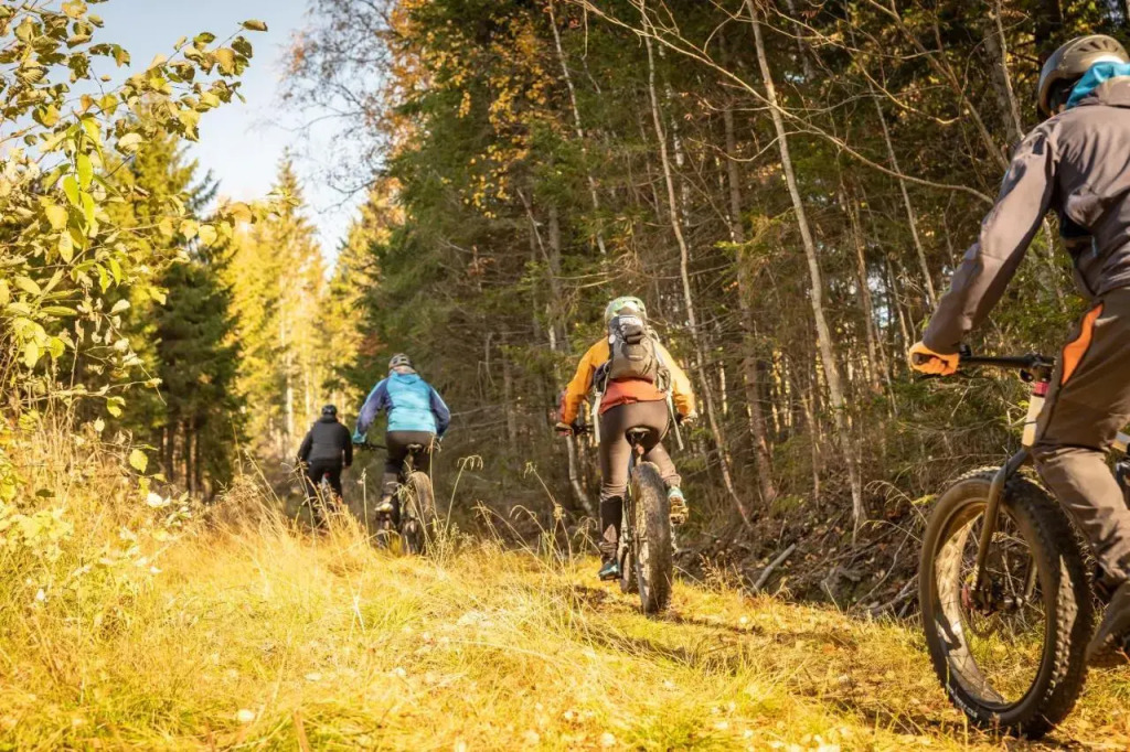Koli Freetime Cottages