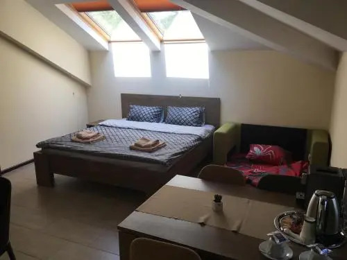 Sofia Family House