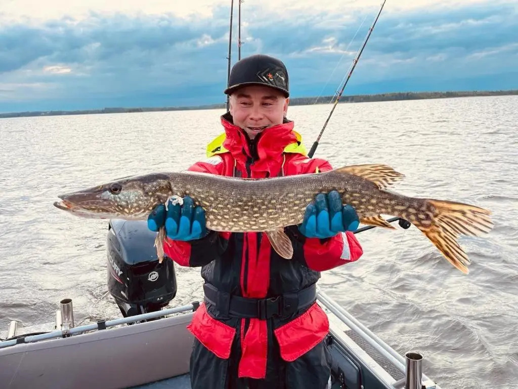 Fishing cottage Villa Tarula lake Simpele