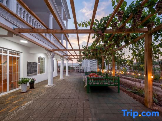Turpan Grape Village Sand Therapy Homestay (Grape Valley Branch)