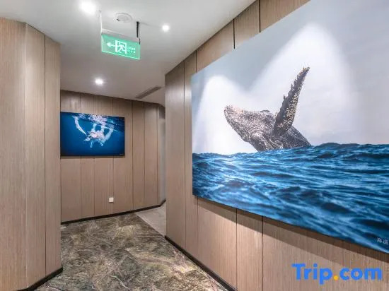 Vyluk Hotel Chongqing Light Rail Station
