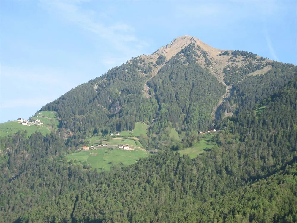 Hotel Haselried