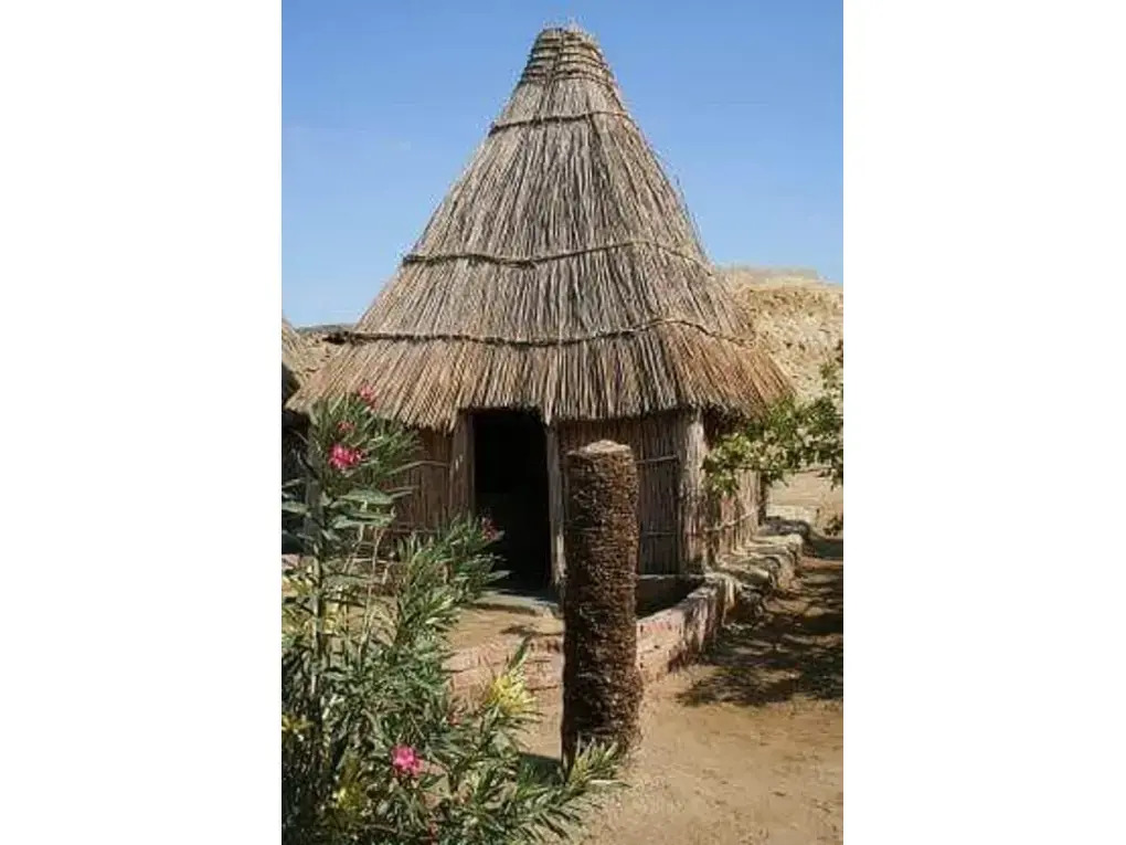 Badry Sahara Camp