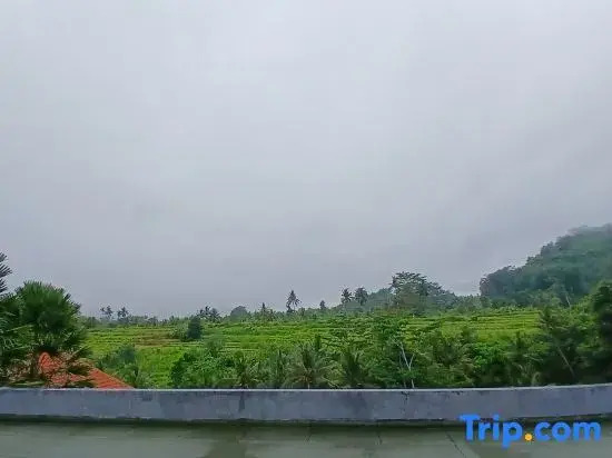 The Lavana Taman Dewata Villa near Desa Panglipuran