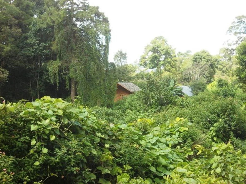 Thitaw Lay House B & B