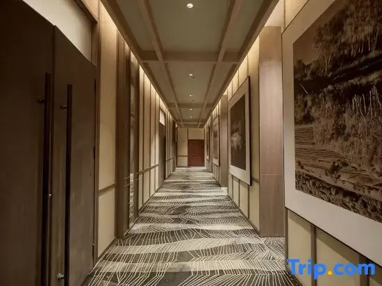 Thhe  Guesthouse