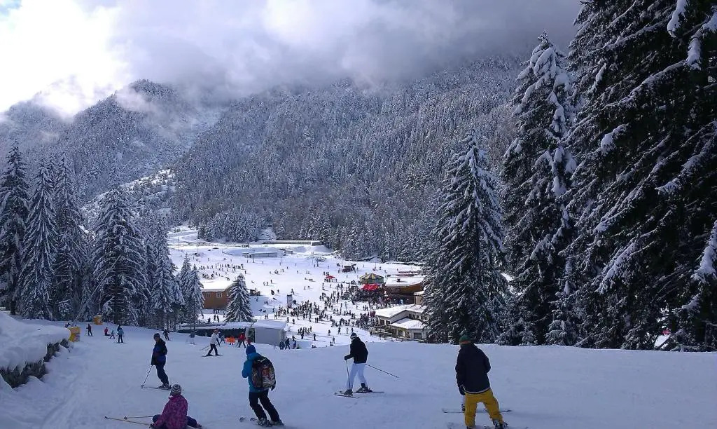 Aspen Studio