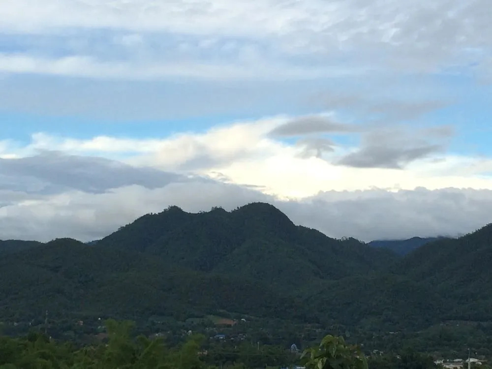 Pai Kiang Dao