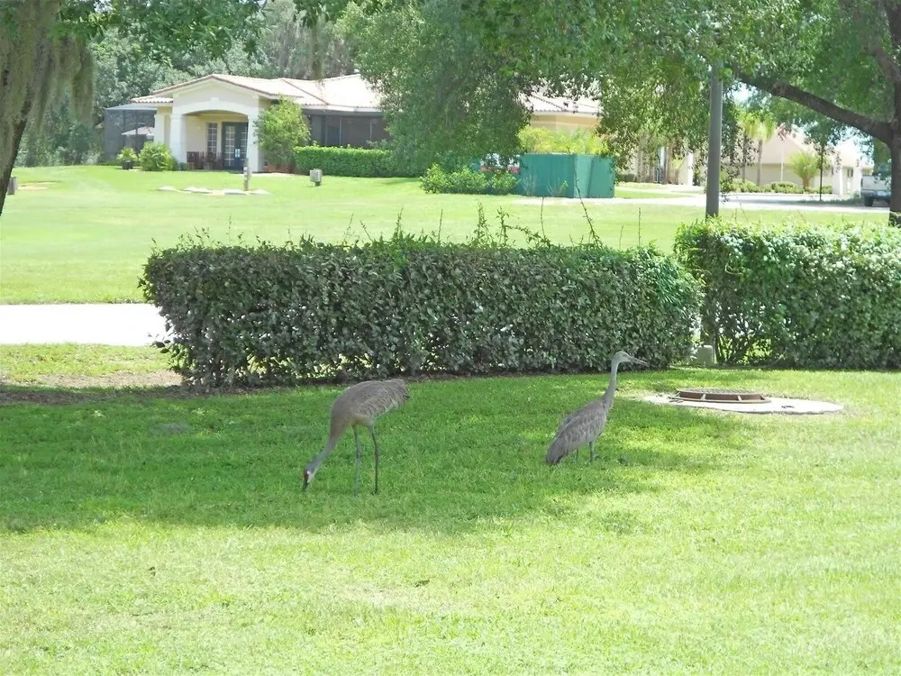 Golf , Walk To The Course 3 Bedroom Condo by RedAwning