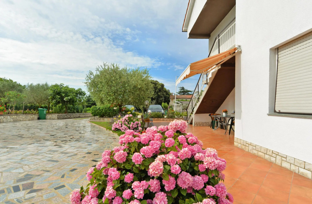 Apartment 1552