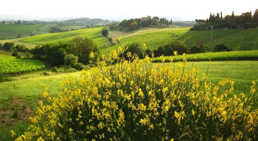 I Palazzi B&B