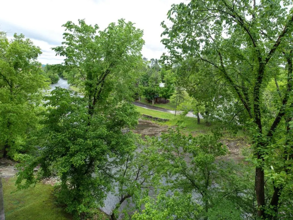 Creekside Tranquility Cedar Lodge 403