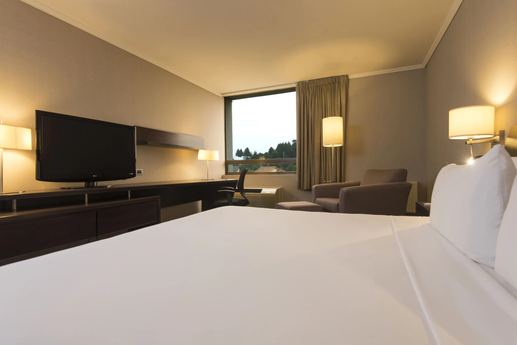 Holiday Inn Express - Concepcion by IHG