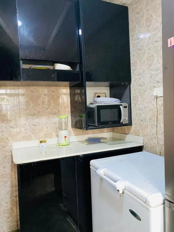 Mr Luxury 2 bedroom apartment ik