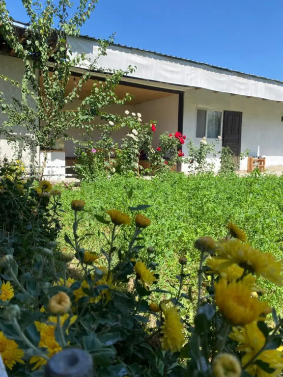 Guest House KAGAN
