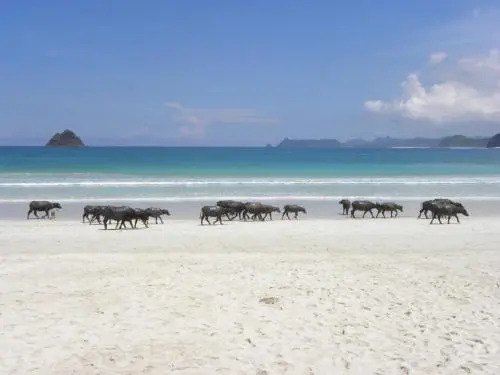 Pantai South Lombok Villas