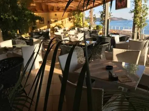 Apartmani Amor