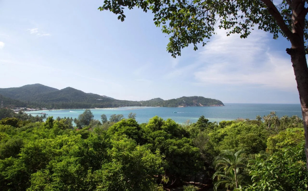 The Four Resort