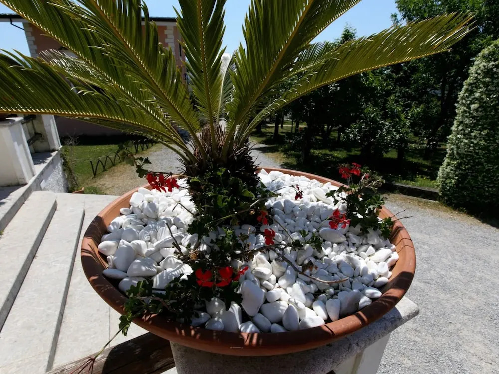 Holiday Home in San Cipriano With Pool