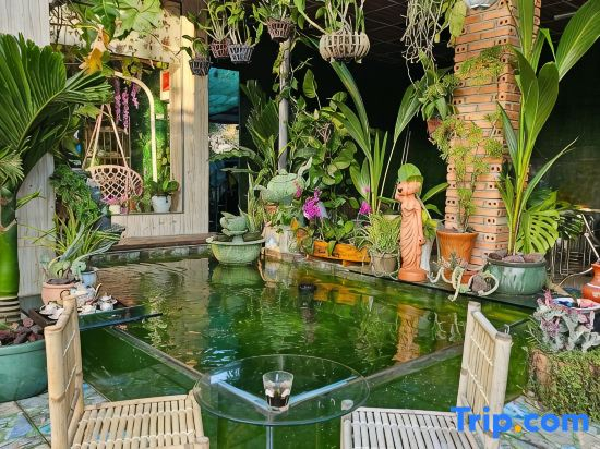 Sala Ho Tram Homestay & Villa