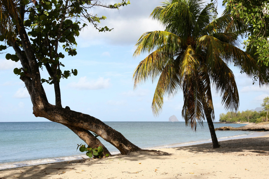 Residence Pierre & Vacances Premium Les Ilets