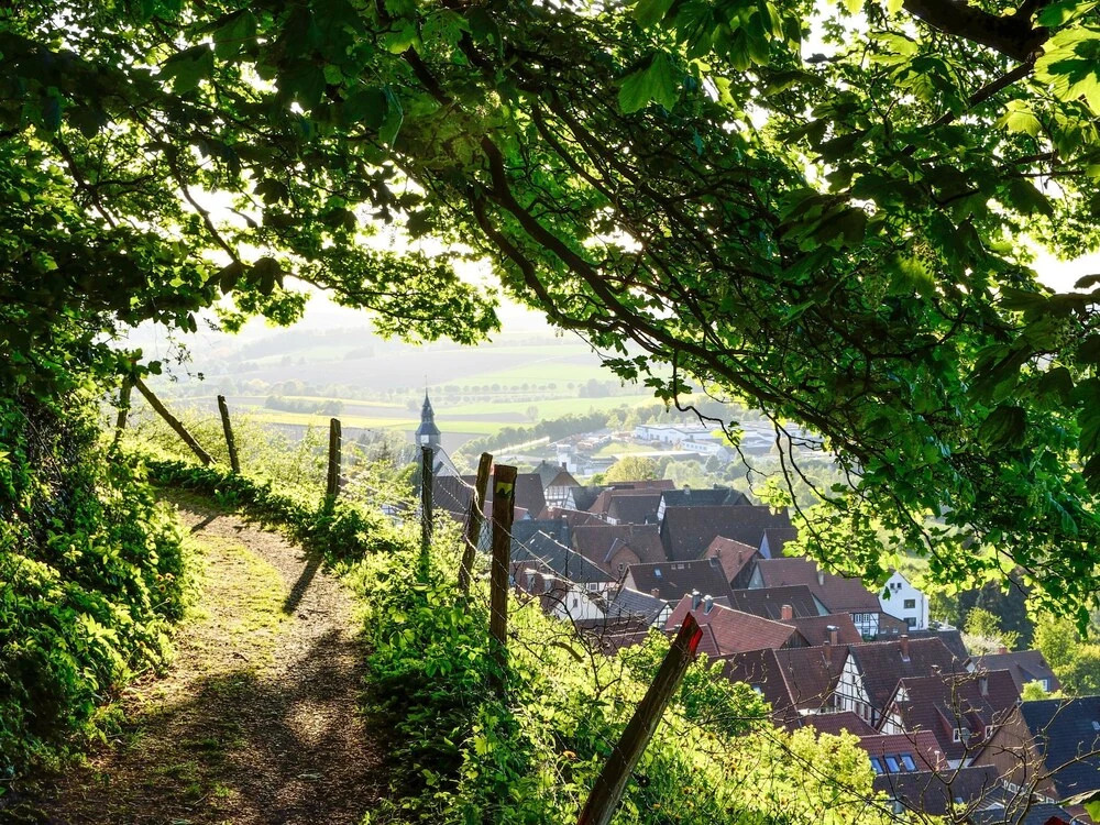 Phileas Schieder-schwalenberg