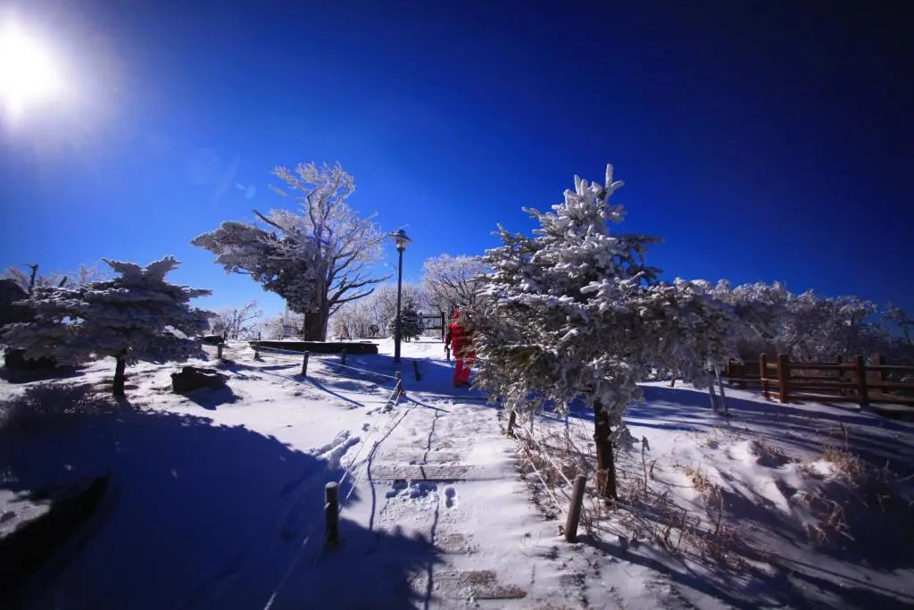 Yongpyong Resort