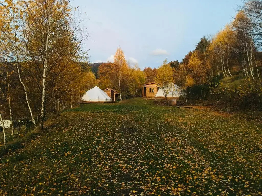 Silver Trees Glamping
